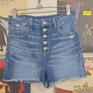 American Eagle Outfitters Blue Stretchy Jean Shorts
